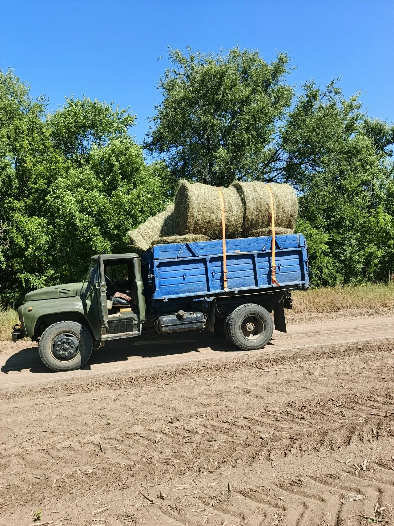 Сено луговое доставка
