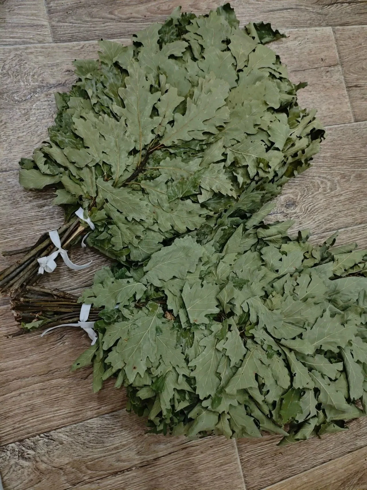 Веники для бани из дуба