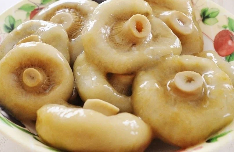 Грузди солёные, бочковые, правильного посола