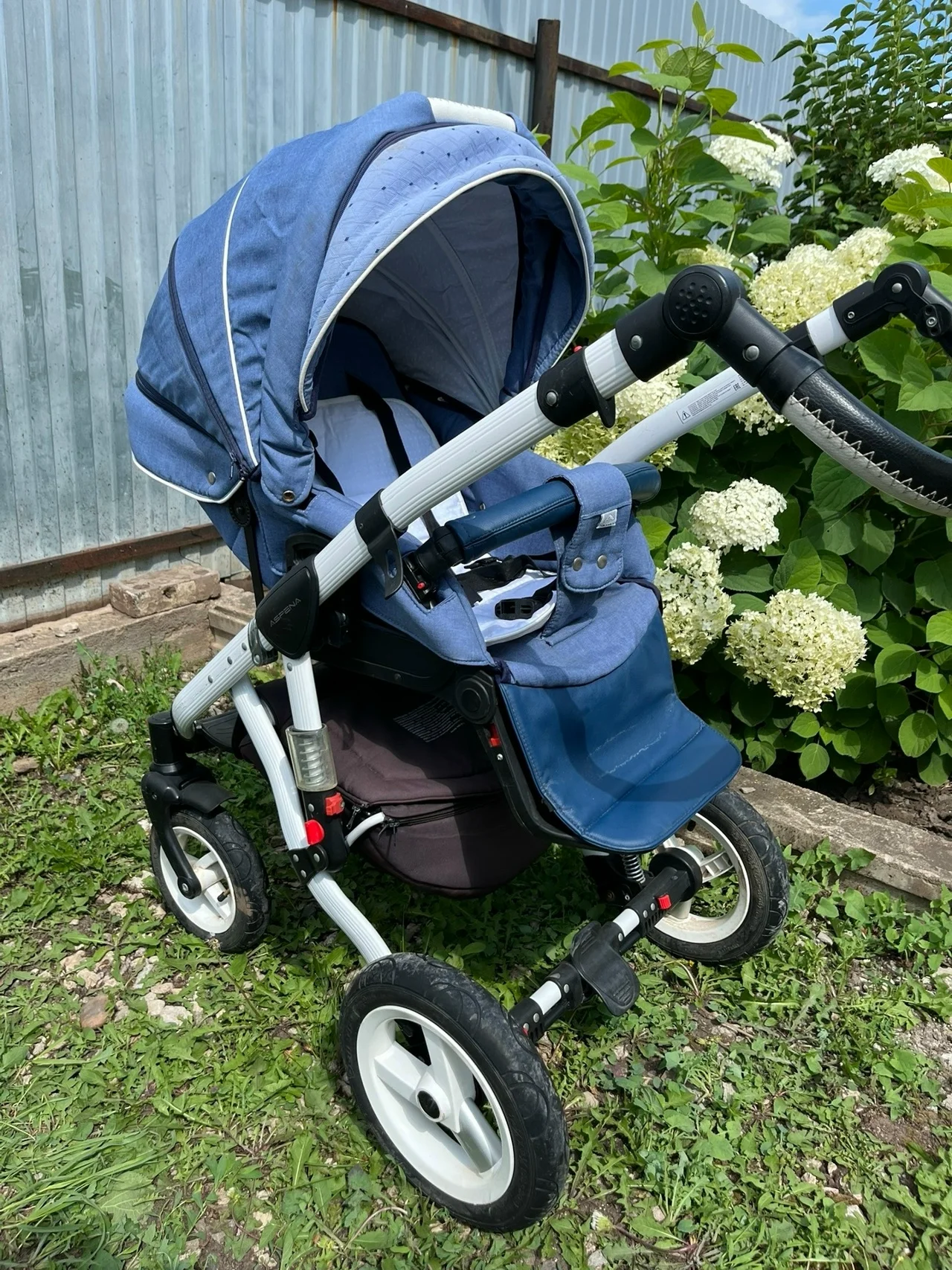 Коляска Adamex Aspena 3 в 1