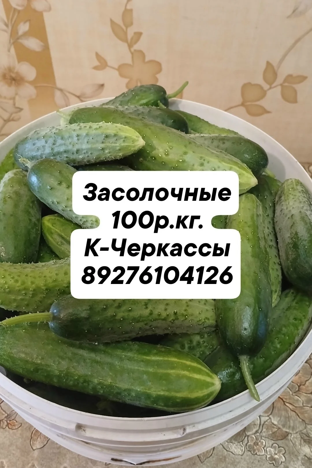 Засолочные, помидора, картофель и чеснок
