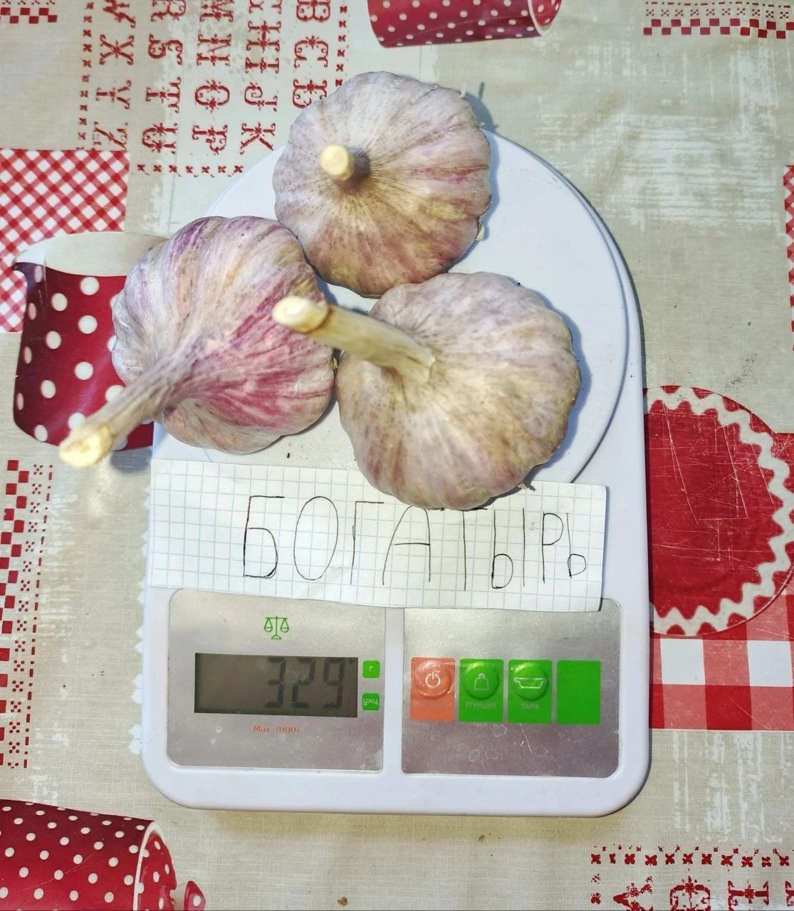 Продам сортовой чеснок
