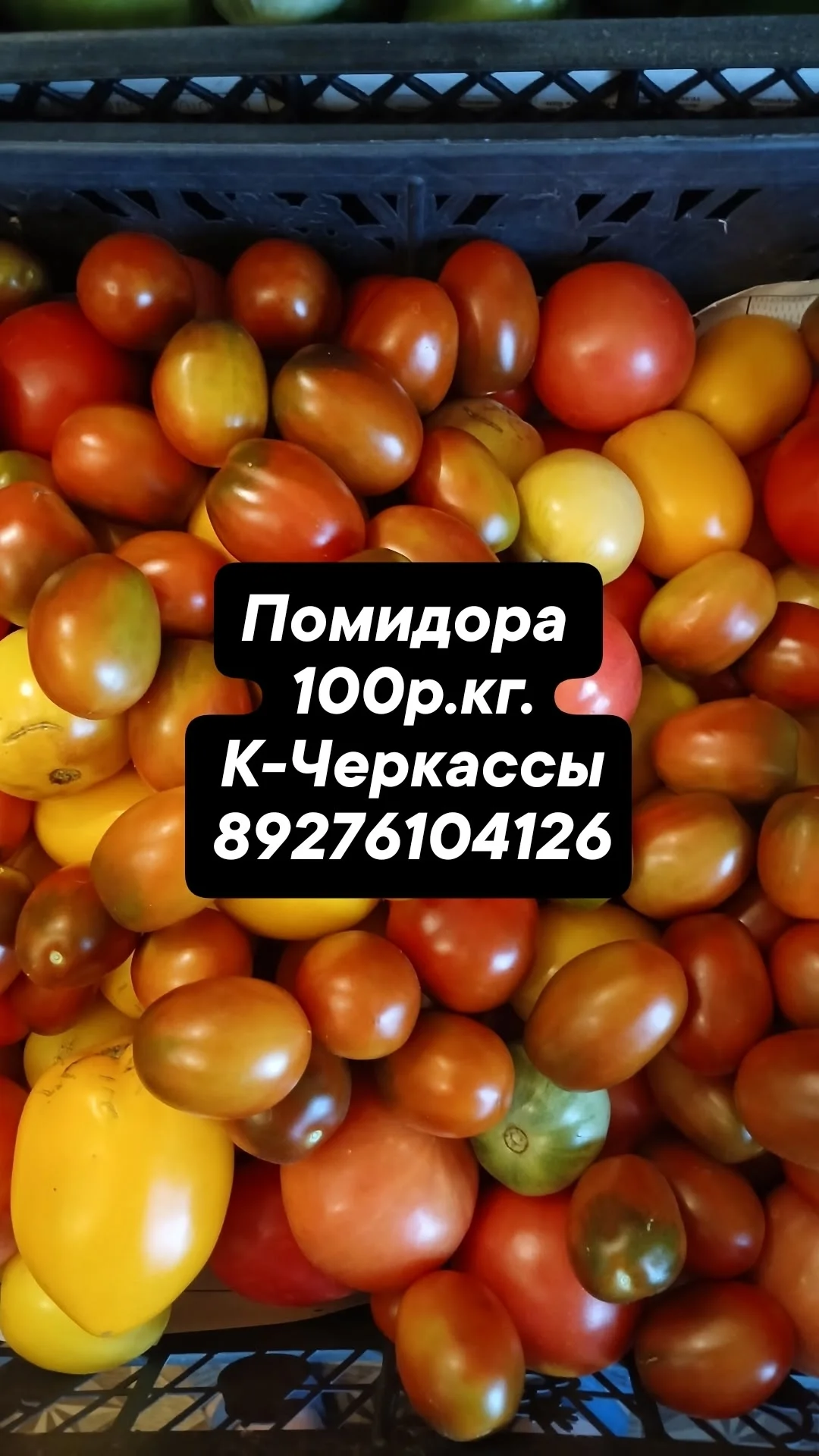 Засолочные, помидора, картофель и чеснок