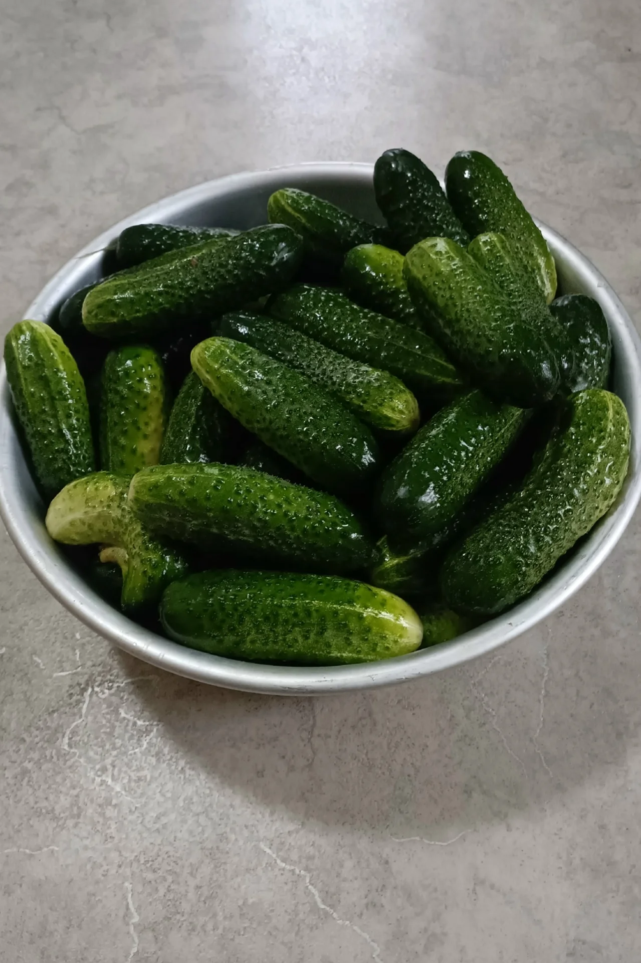 Продам огурцы