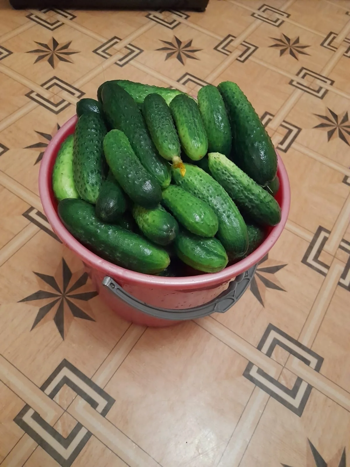 Продам огурчики