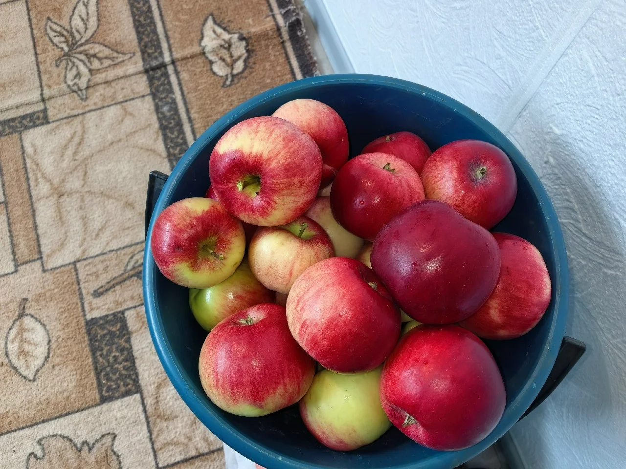 Продам яблоки