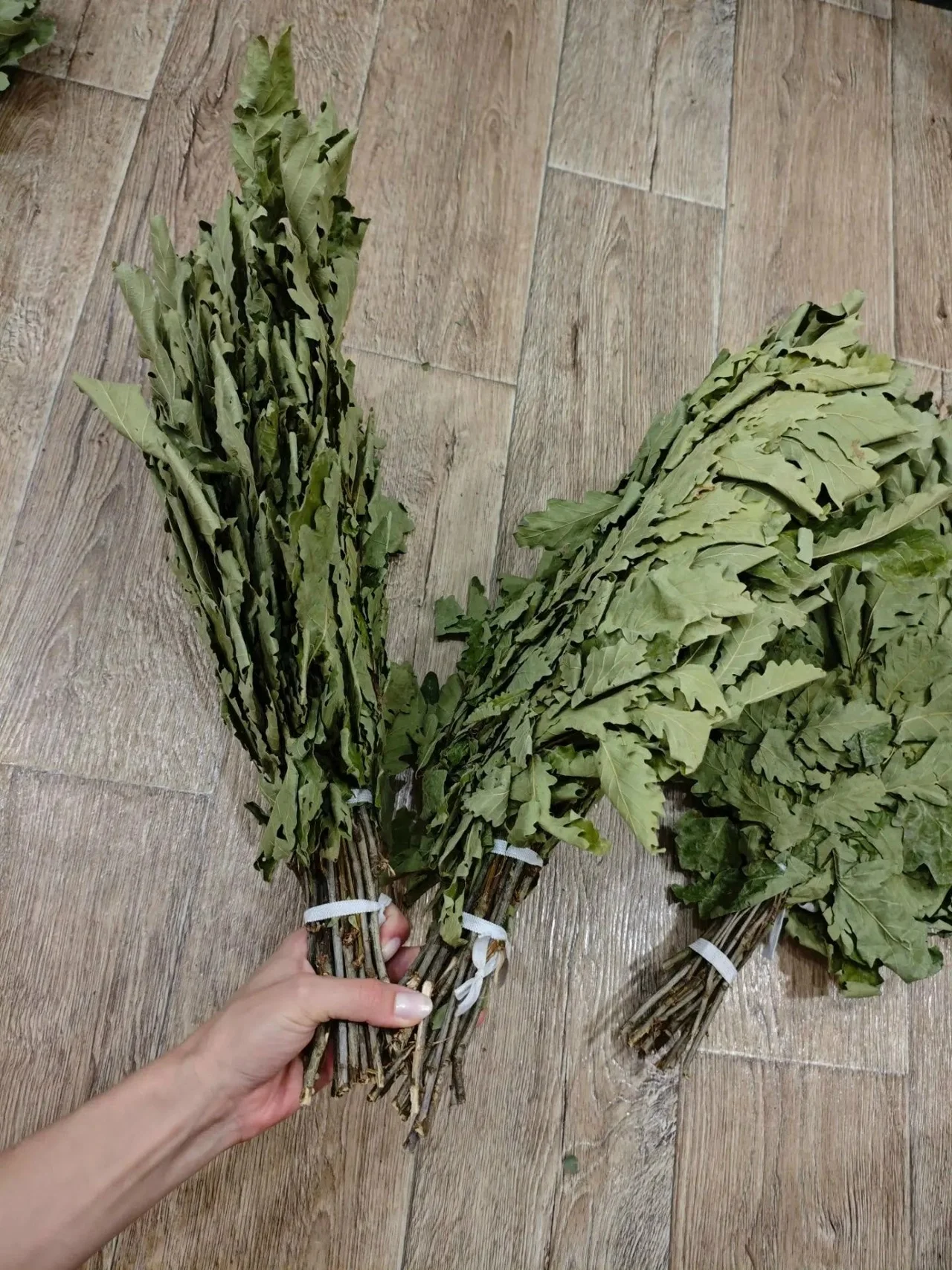 Веники для бани из дуба