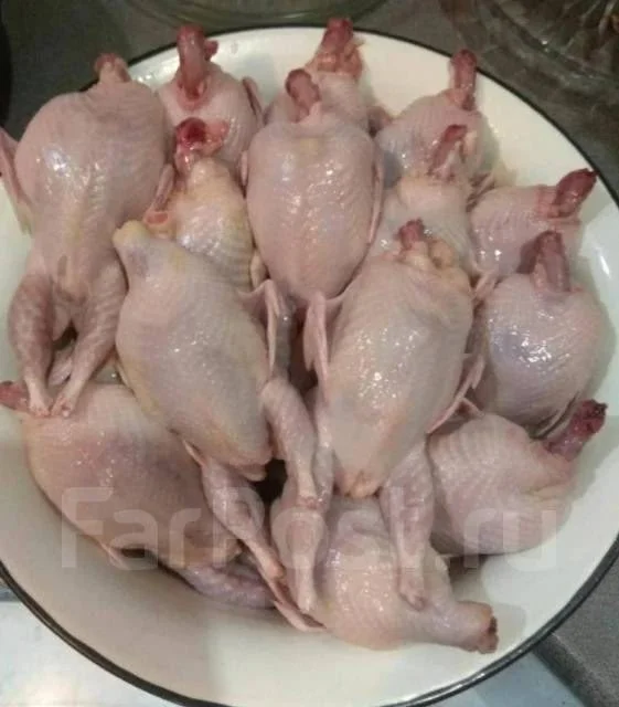 В продаже, домашнее мясо тушки перепелов