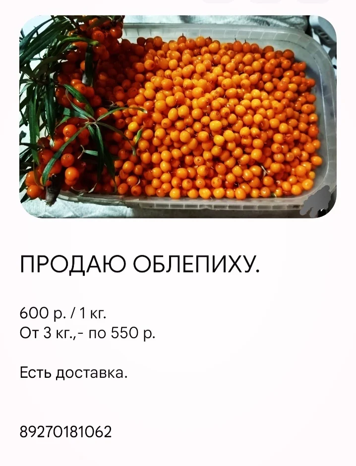 Продаю облепиху
