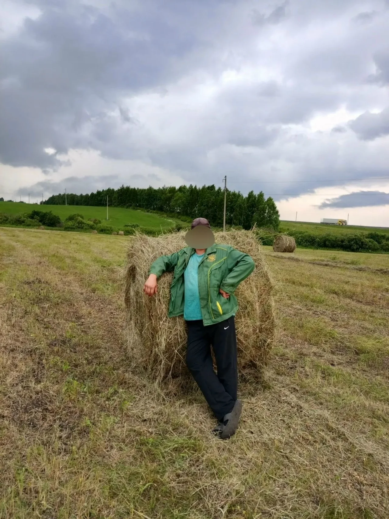 В продаже рулоны сена