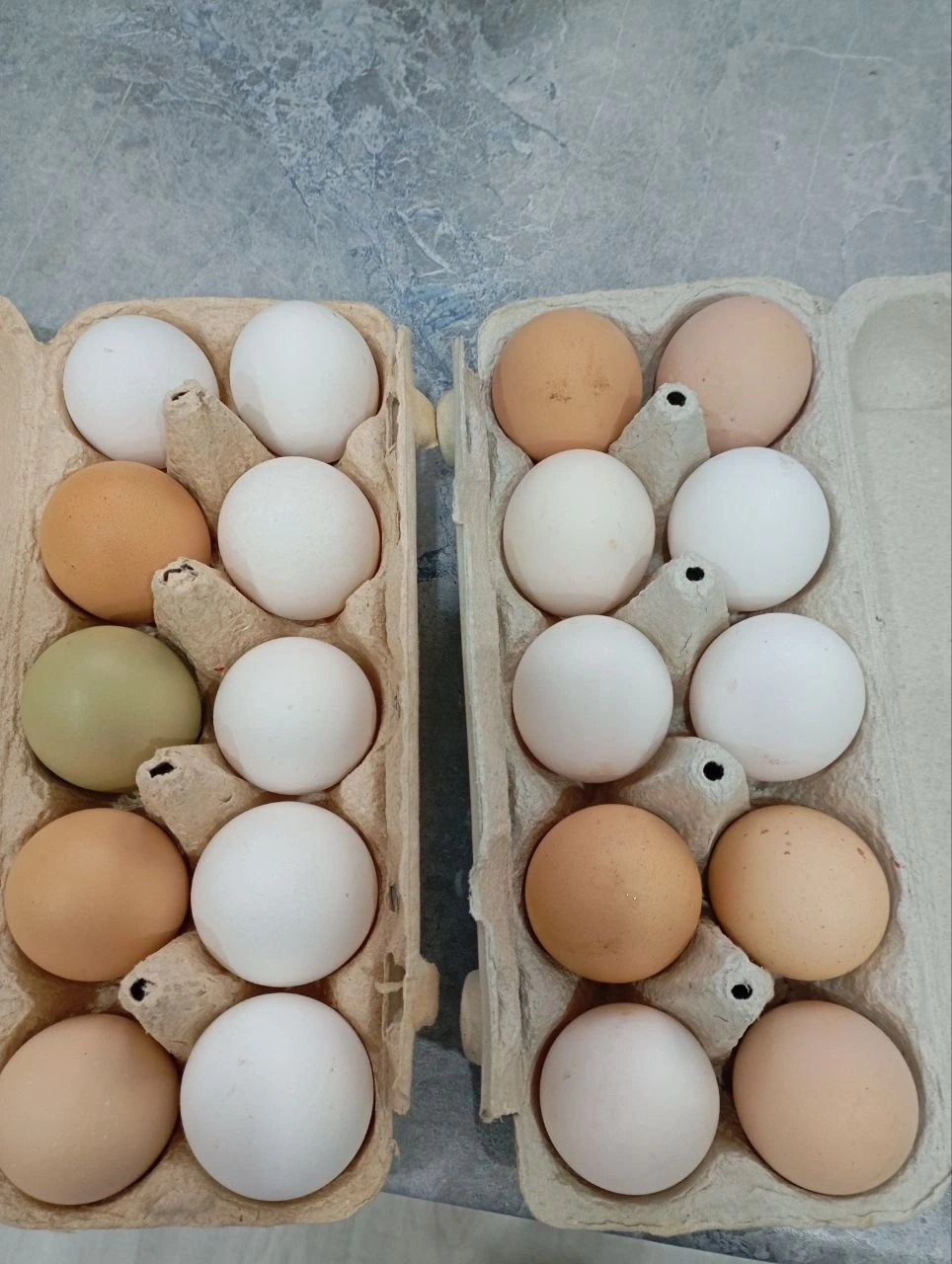 Предлагаю к покупке домашние куриные яички